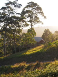 Book Bawley Point Accommodation Vacations Accommodation Nelson Bay Accommodation Nelson Bay