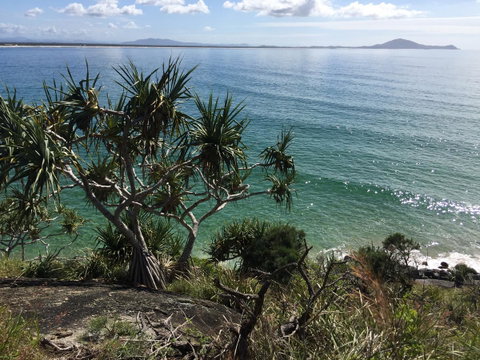 Hat Head Beach Cottage 1 - Nelsons Bay Accommodation 23