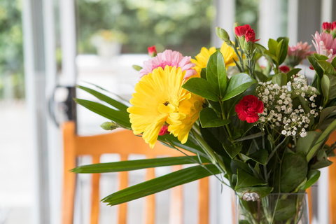 Armidale Cottage - House 2 - Nelsons Bay Accommodation 12