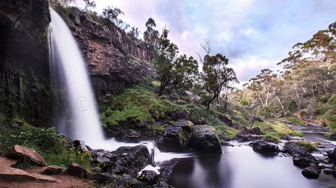 Pound Creek Gallery - Accommodation Nelson Bay 14