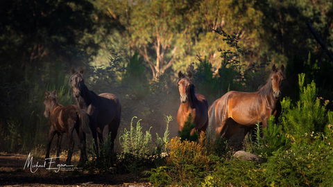 Pound Creek Gallery - Accommodation Nelson Bay 18