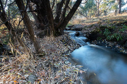 Pound Creek Gallery - Accommodation Nelson Bay 26