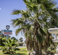 Allonville Gardens Motel - Accommodation Nelson Bay
