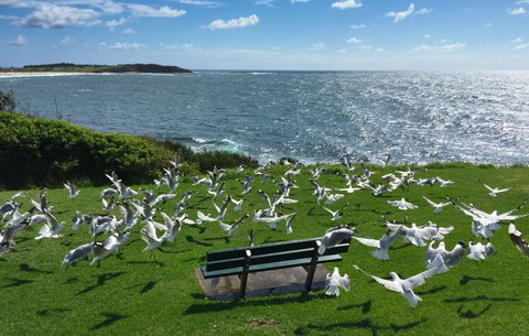 Waterview Beach Apartment - Accommodation Nelson Bay 25