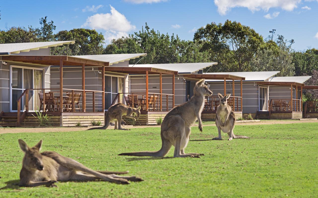  Accommodation Nelson Bay