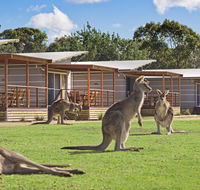 Discovery Parks  Pambula Beach - Accommodation Nelson Bay