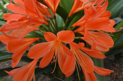 JE Guesthouse, Central To All The Hunter Valley Has To Offer - Accommodation Nelson Bay 39