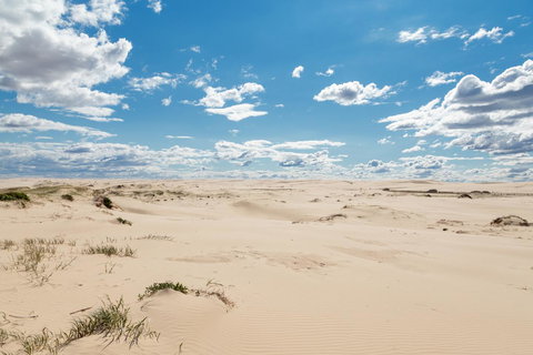 Birubi Beach Holiday Park - Accommodation Nelson Bay 38