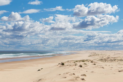 Birubi Beach Holiday Park - Accommodation Nelson Bay 44