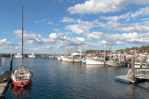 Birubi Beach Holiday Park - Accommodation Nelson Bay 33