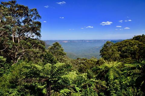 Dangal Gardens - Nelson Bay Accommodation.com 28