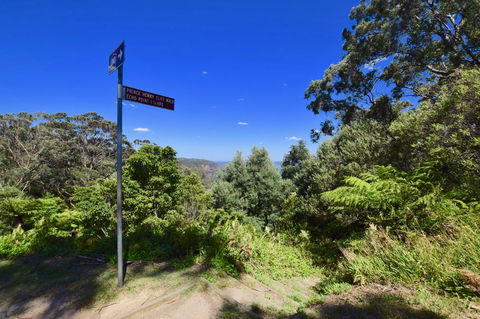 Dangal Gardens - Nelson Bay Accommodation.com 30