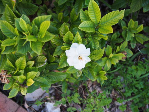 Bellevue Accommodation - Nelson Bay Accommodation.com 21