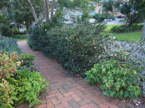 Bellevue Accommodation - Nelson Bay Accommodation.com 22