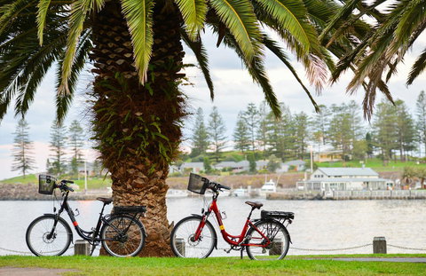 Belle Vue- Penthouse At Black Beach - Accommodation Nelson Bay 8