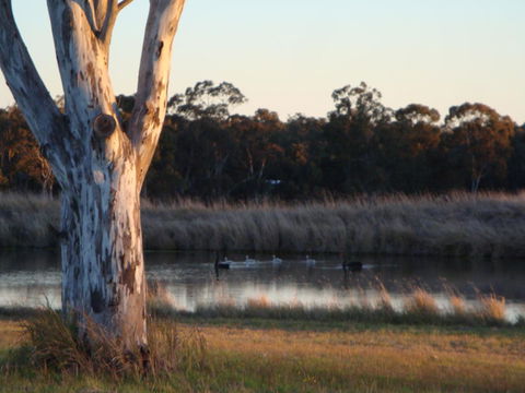 Adina Vineyard - Accommodation Nelson Bay 10