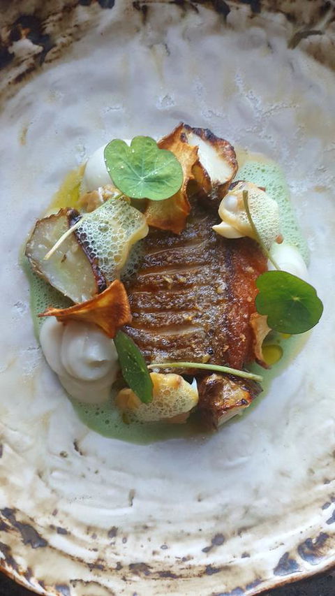 Adina Vineyard - Accommodation Nelson Bay 3