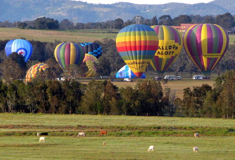 Adina Vineyard - Accommodation Nelson Bay 9