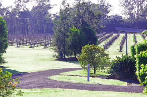 Adina Vineyard - Accommodation Nelson Bay 14