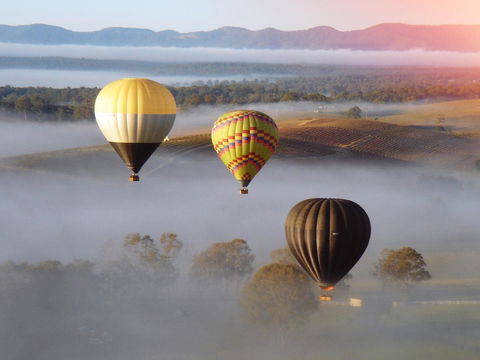 Adina Vineyard - Accommodation Nelson Bay 21