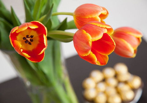 Wine Country Motor Inn - Accommodation Nelson Bay 10