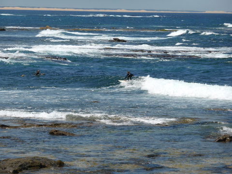 Arena Luxury Beachfront Apartment - Accommodation Nelson Bay 26