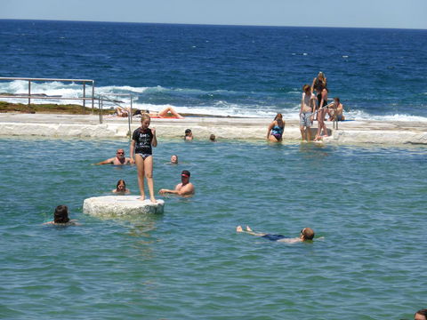 Arena Luxury Beachfront Apartment - Accommodation Nelson Bay 33