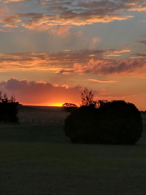 Madigan Wine Country Cottages - Accommodation Nelson Bay 13