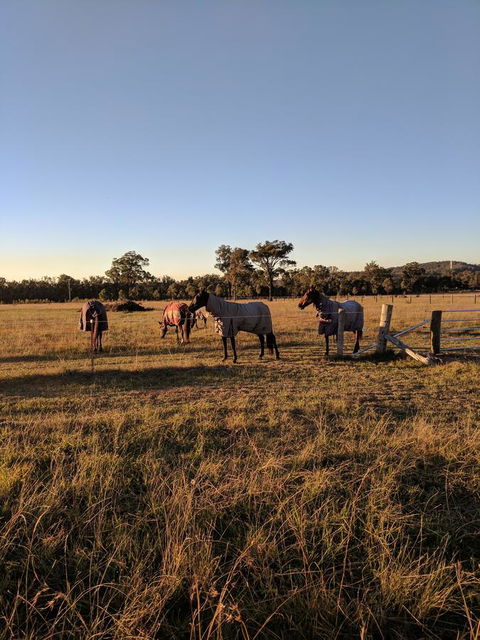 Madigan Wine Country Cottages - Accommodation Nelson Bay 8