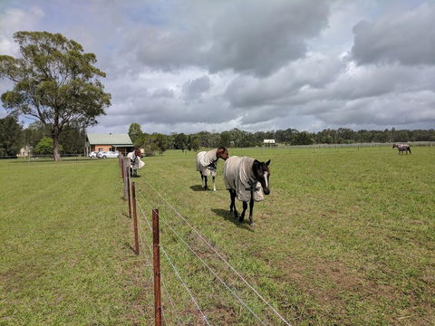 Madigan Wine Country Cottages - Accommodation Nelson Bay 9