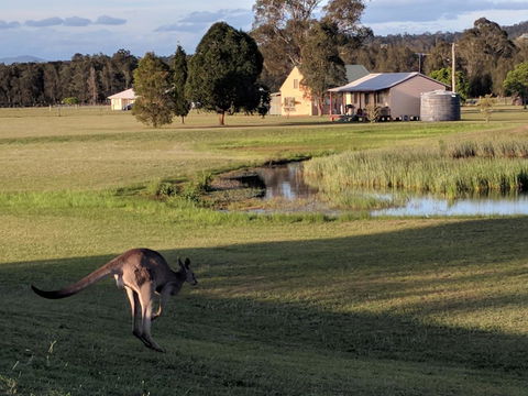 Madigan Wine Country Cottages - Accommodation Nelson Bay 6