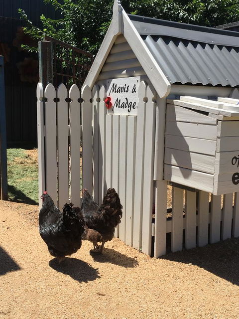 Thelma's Temora - Accommodation Nelson Bay 12