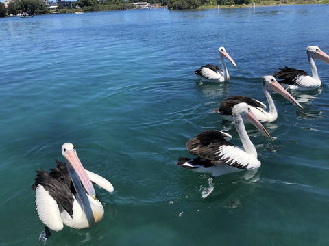 Centrepoint 10 - Accommodation Nelson Bay 8