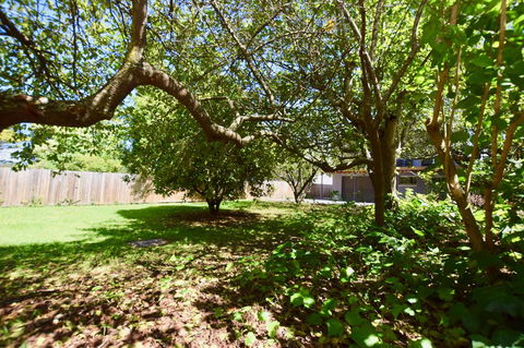 Wildlife Lodge Katoomba - Accommodation Nelson Bay 26