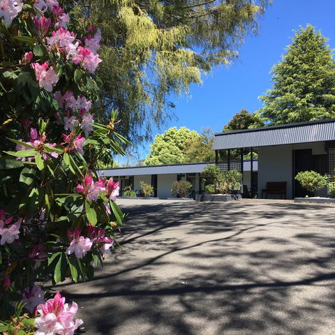 Sky Rider Motor Inn - Accommodation Nelson Bay 14