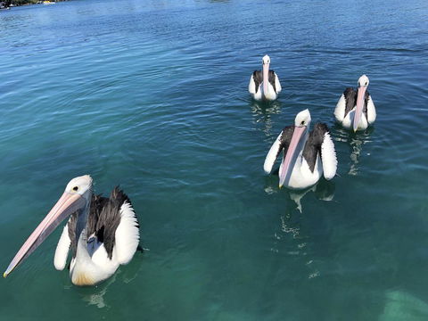 Aquarius 9 - Accommodation Nelson Bay 4
