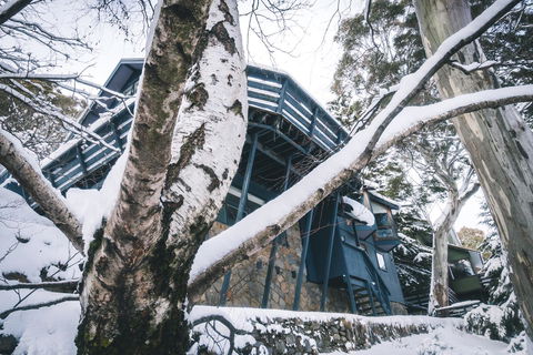 Pure Chalet Thredbo - Accommodation Nelson Bay 21