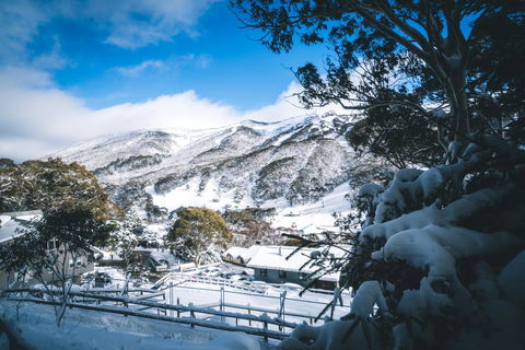 Pure Chalet Thredbo - Accommodation Nelson Bay 31