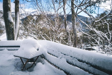 Pure Chalet Thredbo - Accommodation Nelson Bay 19