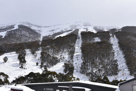 Pure Chalet Thredbo - Accommodation Nelson Bay 6
