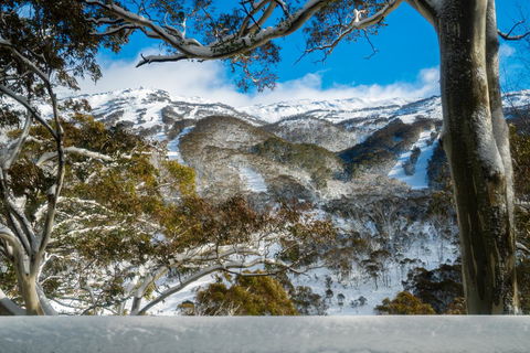 Pure Chalet Thredbo - Accommodation Nelson Bay 17