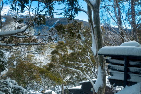 Pure Chalet Thredbo - Accommodation Nelson Bay 30