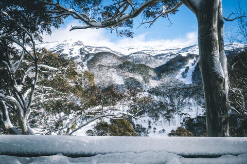 Pure Chalet Thredbo - Accommodation Nelson Bay 2