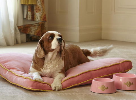 The Langham Sydney - Nelson Bay Accommodation.com 23