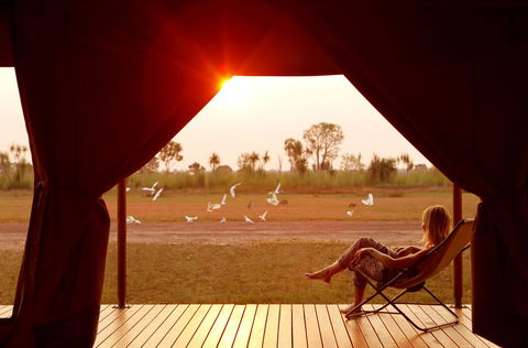 Wildman Wilderness Lodge - Accommodation Nelson Bay 12