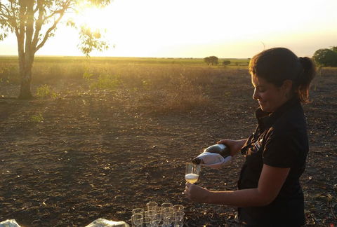 Wildman Wilderness Lodge - Accommodation Nelson Bay 22