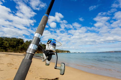 Ingenia Holidays Eden Beachfront - Accommodation Nelson Bay 23