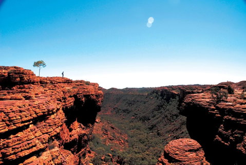 Discovery Resorts - Kings Canyon - Accommodation Nelson Bay 38