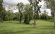 Mount Bundy Station - thumb 25