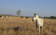 Mount Bundy Station - thumb 43